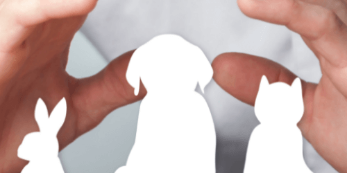 AssCompact Uelzener Tierkrankenversicherung - TOP Favorit